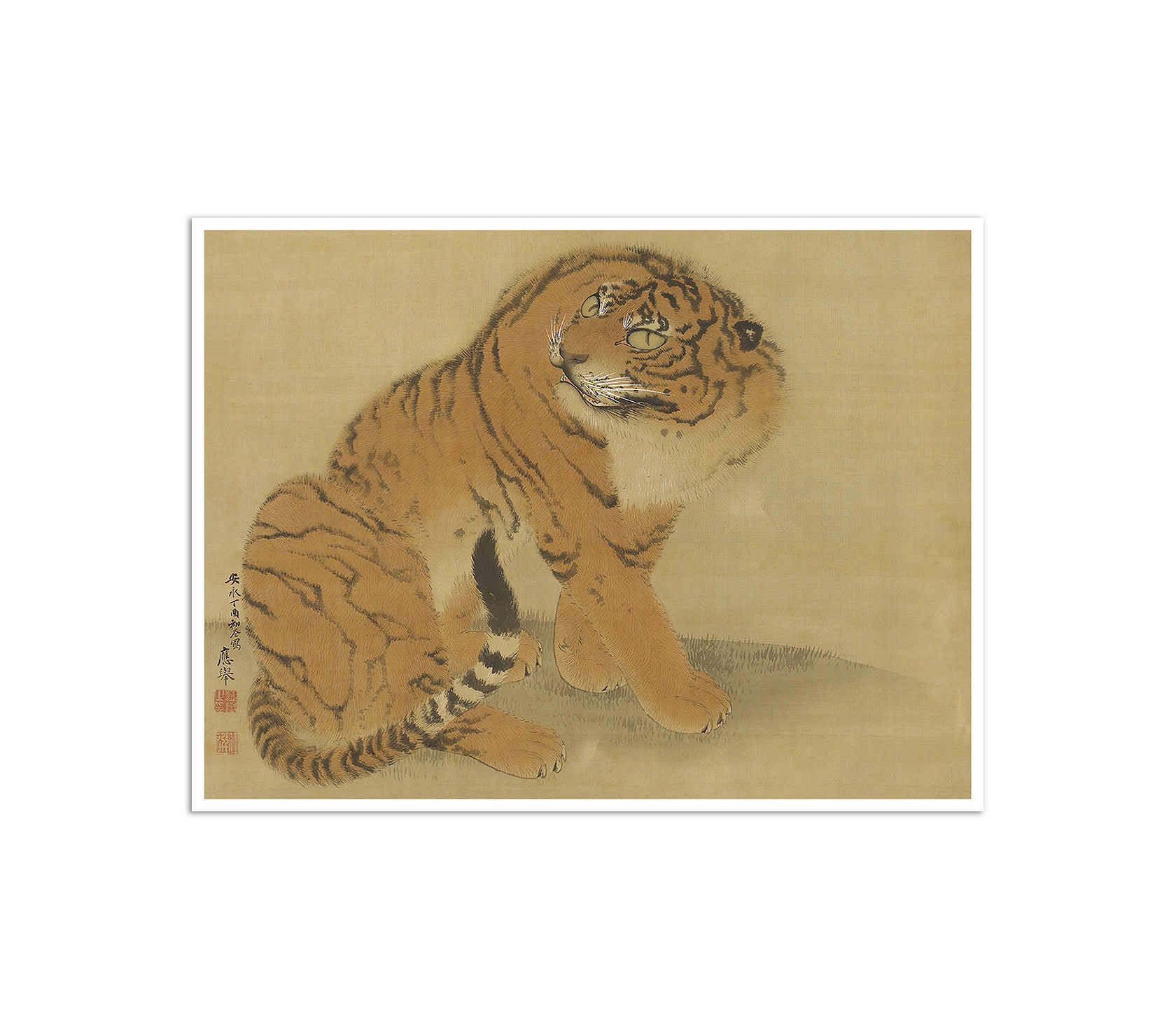 Japanese Art Sitting Tiger Print by Maruyama Ōkyo 1977 Japan