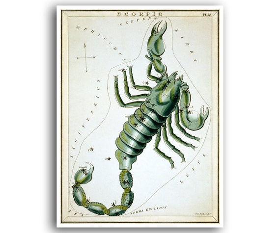 Scorpio Star Chart