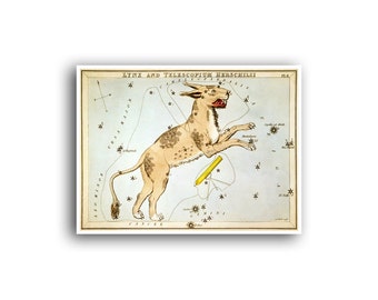 Póster con el signo del zodíaco, mapa de constelaciones, carta estelar, horóscopo, Sidney Hall Lynx Print (AS29)a