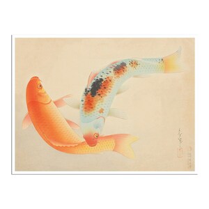 Koi Fish Poster Japanese Carp Art Japan Print (J437)a