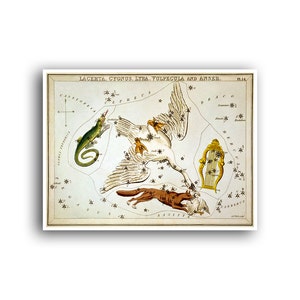 Sterrenbeeld kaart Sidney Hall kunst sterrenbeeld astrologie dierenriem print horoscoop poster (AS4)a