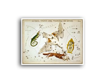 Póster con el horóscopo y la astrología del zodiaco de Sidney Hall Art (AS4)a