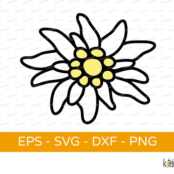 Plotterdatei Edelweiß Blume Clipart, svg dxf eps png, Datei Download Plott Lizenz mehrfarbig Büglebild