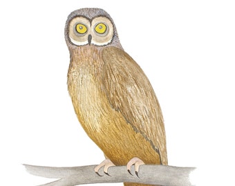 Brown owl original watercolor, owl watercolor painting, owl wall art, woodland animal, watercolor bird art, bird painting, bird home decor
