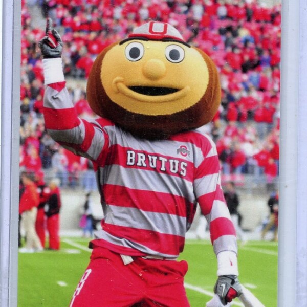 Brutus Buckeye Ohio State Buckeyes Football Card