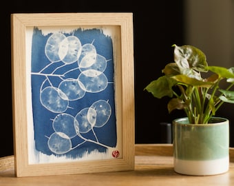 Annual Honesty A4 Cyanotype print original