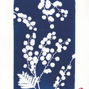 Botanical cyanotype of a mimosa flower cadre rectangulaire