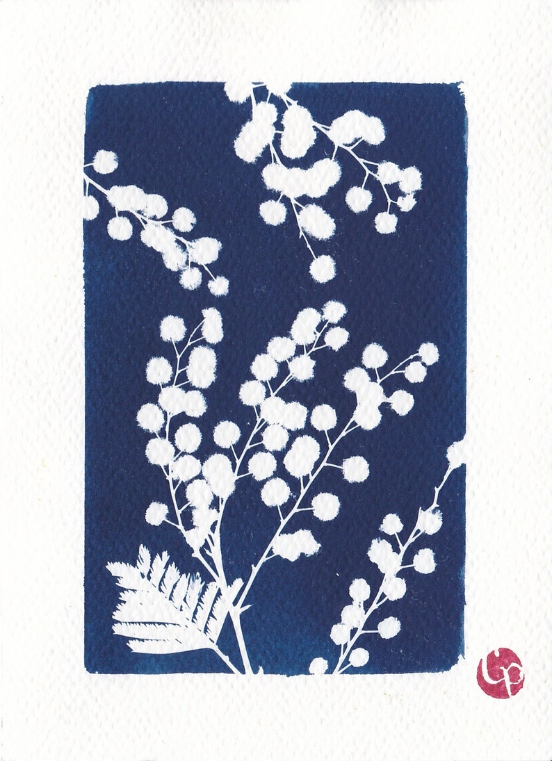 Botanical cyanotype of a mimosa flower cadre rectangulaire