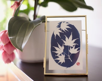 3 botanical cyanotypes, maple leaves