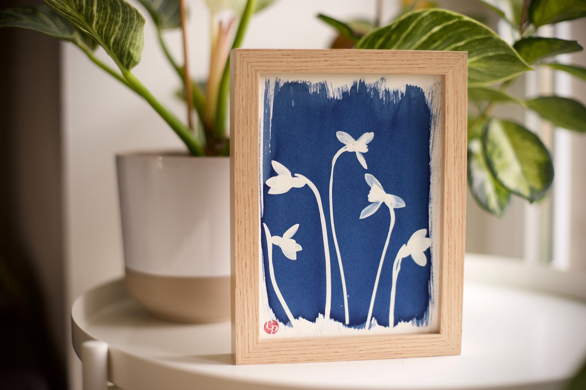 Cyanotype Botanique de Perce-Neige, Unique, Galanthus Nivalis, Photographie Alternative