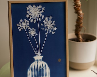 Original cyanotype, acacia dealbata, unique