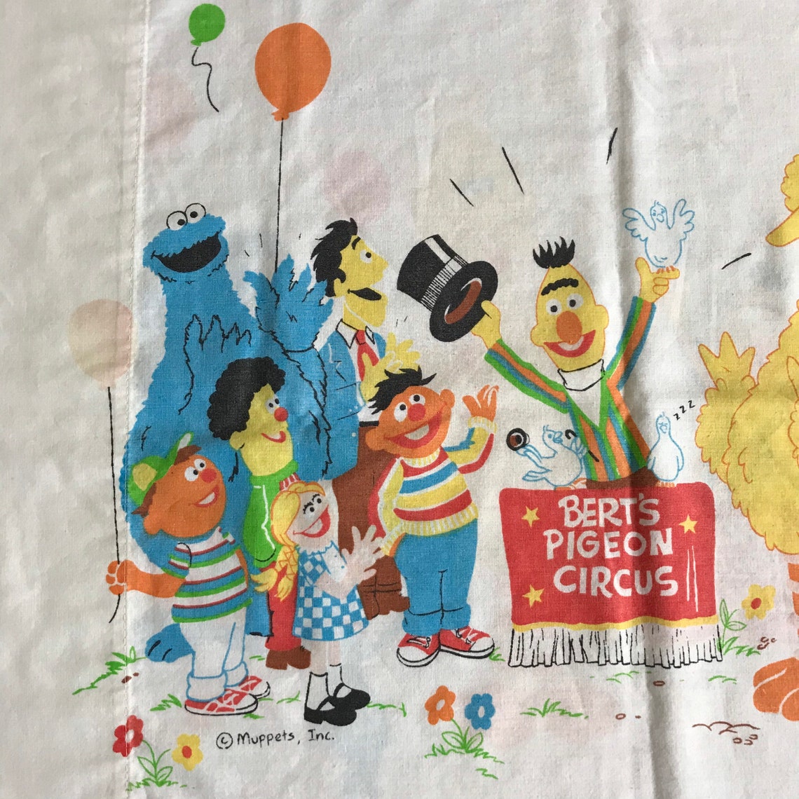 sesame street pillowcase
