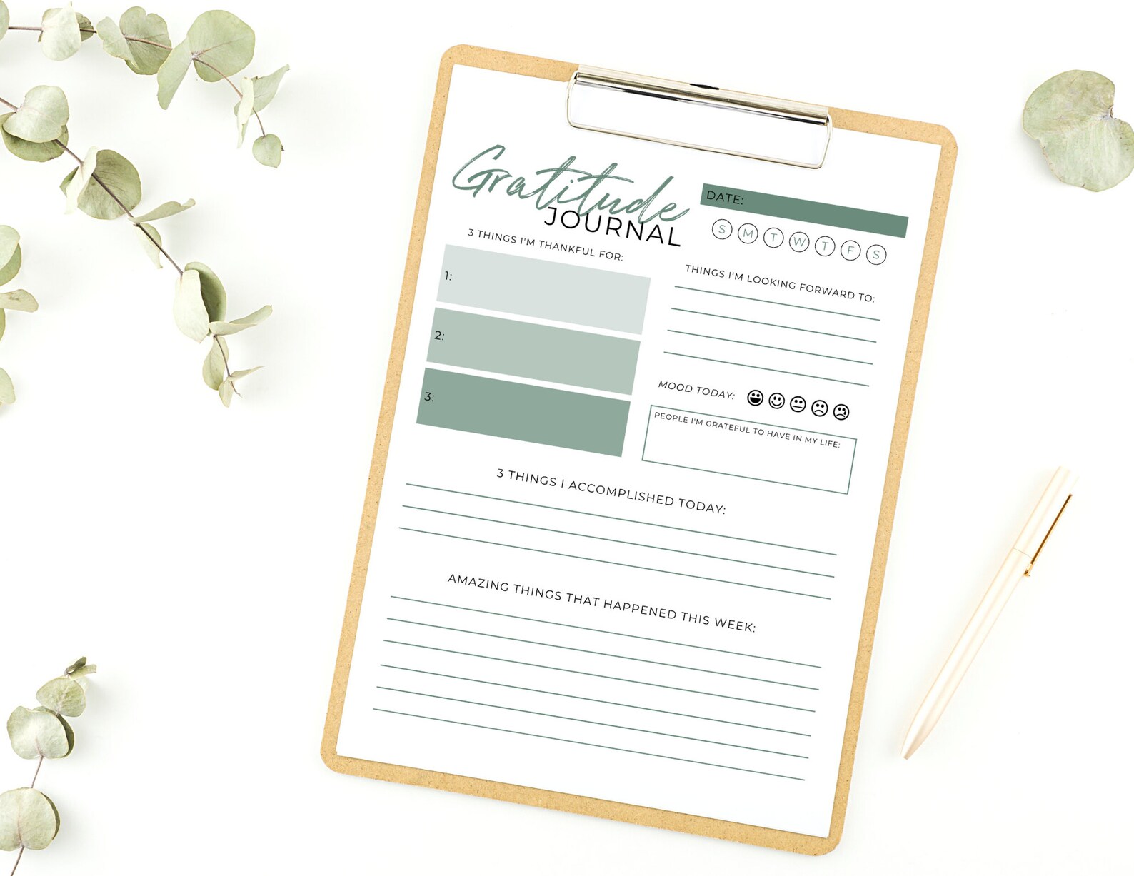 Gratitude Journal Printable Daily Gratitude Tracker - Etsy
