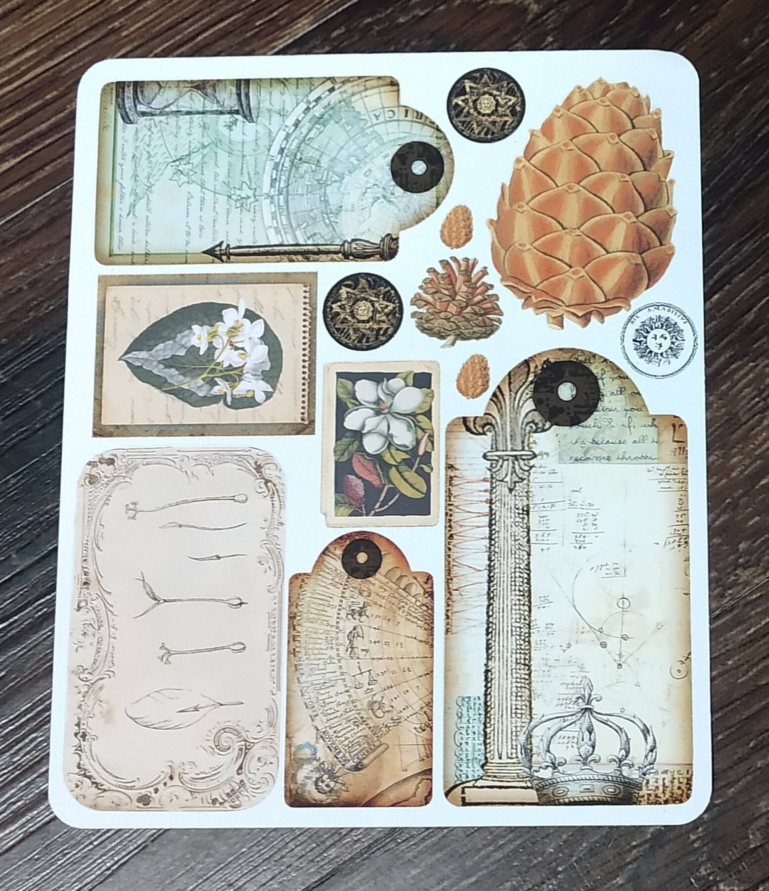 Botanical Alchemy Sticker Set. Alchemy Stickers. Planner Stickers. - Etsy