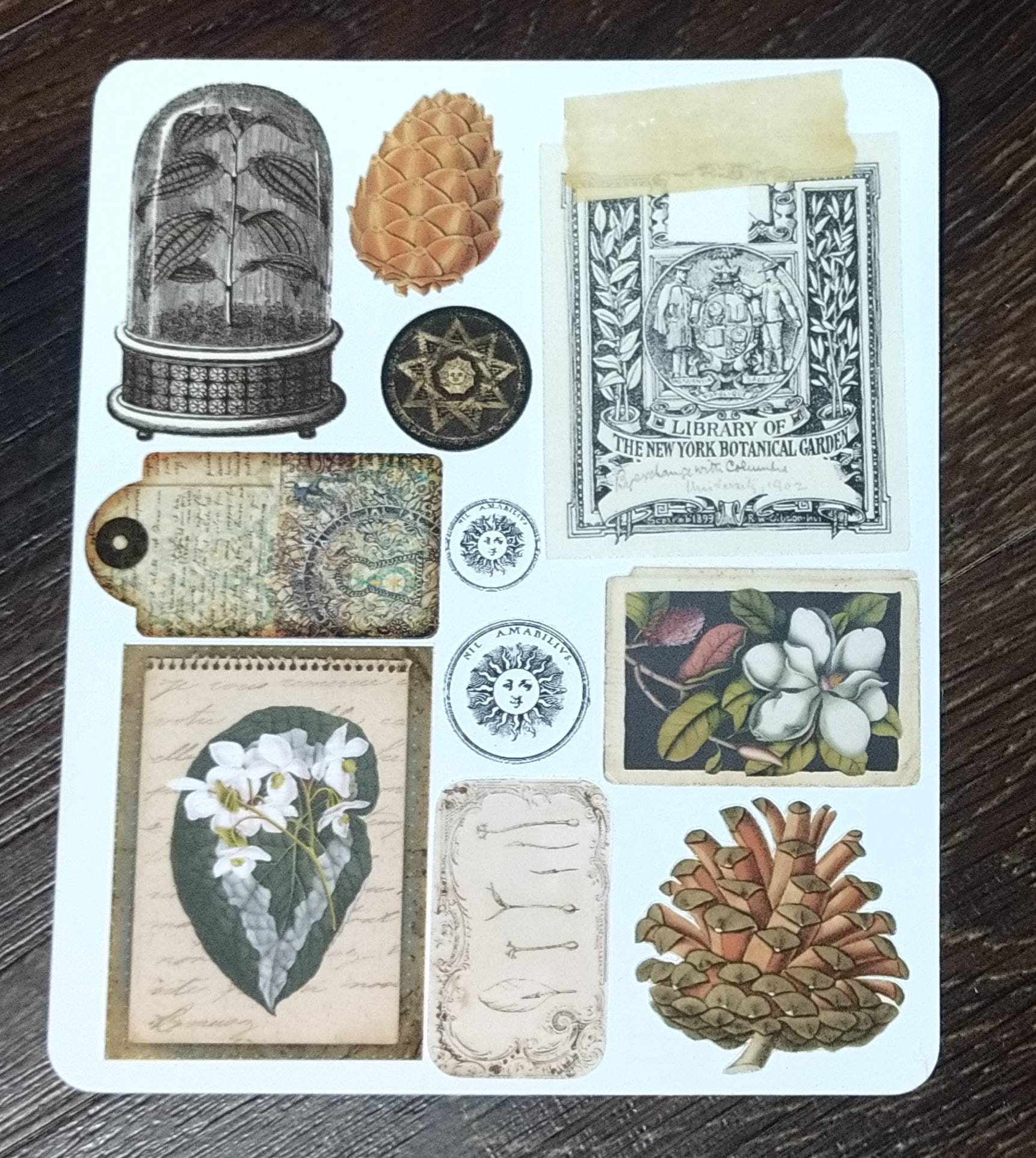 Botanical Alchemy Sticker Set. Alchemy Stickers. Planner Stickers. - Etsy