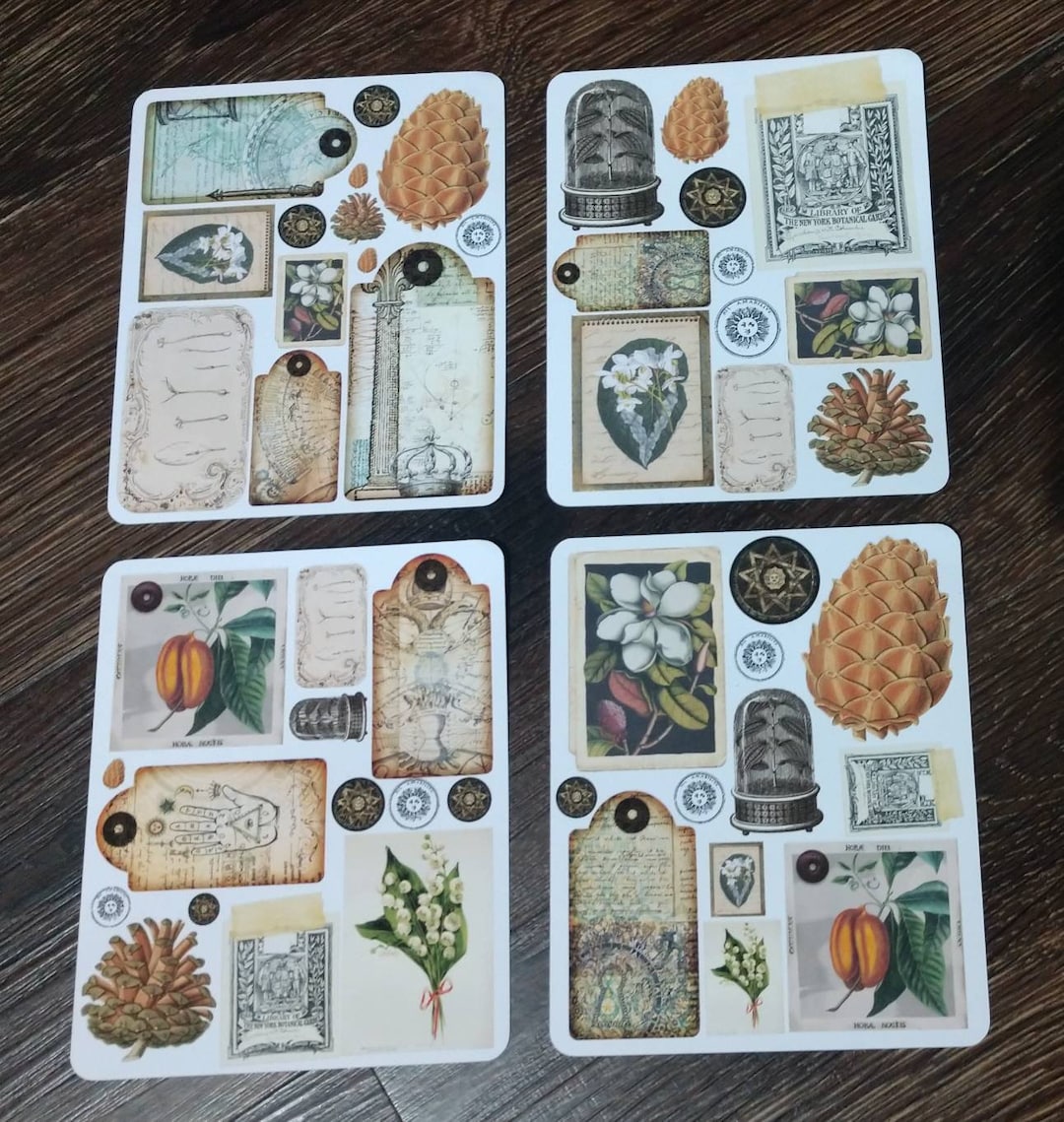 Botanical Alchemy Sticker Set. Alchemy Stickers. Planner Stickers. - Etsy