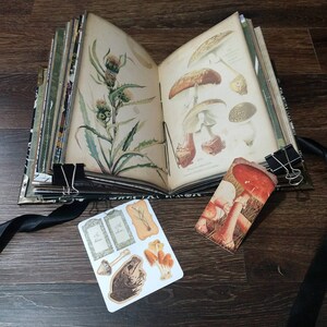May include: Open journal with botanical illustrations of a thistle and mushrooms. The journal is held open with binder clips. Stickers with mushroom and frog illustrations are on the surface. A bookmark with mushroom illustrations is also present.