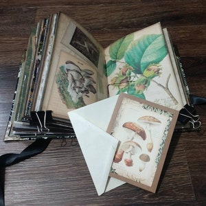May include: An open journal with botanical illustrations of mushrooms and plants. A small card with mushroom drawings is in a white envelope. The journal pages are held together with black binder clips and a black ribbon.