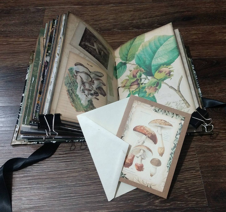 May include: An open journal with botanical illustrations of mushrooms and plants. A small card with mushroom drawings is in a white envelope. The journal pages are held together with black binder clips and a black ribbon.
