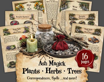 Könnte beinhalten: Eine Sammlung von 16 bedruckten Seiten mit dem Titel "Ash Magick Plants Herbs Trees". Die Seiten sind um eine Kerze, ein Glas und einen kleinen roten Beutel angeordnet. Der Text enthält "Korrespondenzen, Zaubersprüche...und mehr!" und "Verfügbare Größen: US Letter und A4".