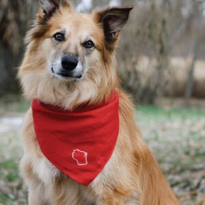 Good Boy Wisconsin Bandana (Unisex) Wisconsin Embroidered Red and White Bandana, Dog Bandana, Wisconsin State Dog Handkerchief