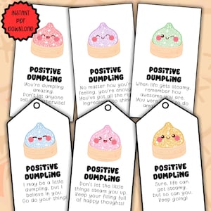 Op de afbeelding: Zes rechthoekige witte cadeaulabels met illustraties van kleurrijke, glinsterende dumplings in bamboe stoommandjes. Elk label bevat de tekst POSITIVE DUMPLING gevolgd door motiverende zinnen. De labels hebben een gat aan de bovenkant.
