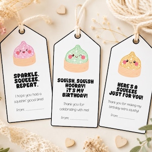May include: Three white rectangular gift tags with rounded top corners and twine loops. Each tag features a glittery, smiling dumpling illustration in pink, green, or gold, with black text including phrases like Sparkle, Squeeze, Repeat.
