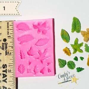 May include: Pink silicone mold with 13 different leaf shapes, including maple, oak, and fern. The mold is 3 inches tall and 2 inches wide.  The mold is next to a ruler and a collection of green and yellow fondant leaves.