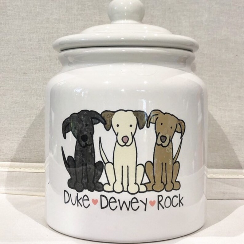 large dog treat container