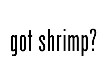 May include: Text graphic with the phrase "got shrimp?" in black text on a white background.
