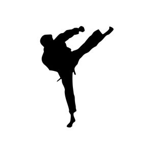 KARATE KICK Silhouette Vinyl Decal Sticker Camping Hiking Mountain Choose Size and Color Free Shipping
