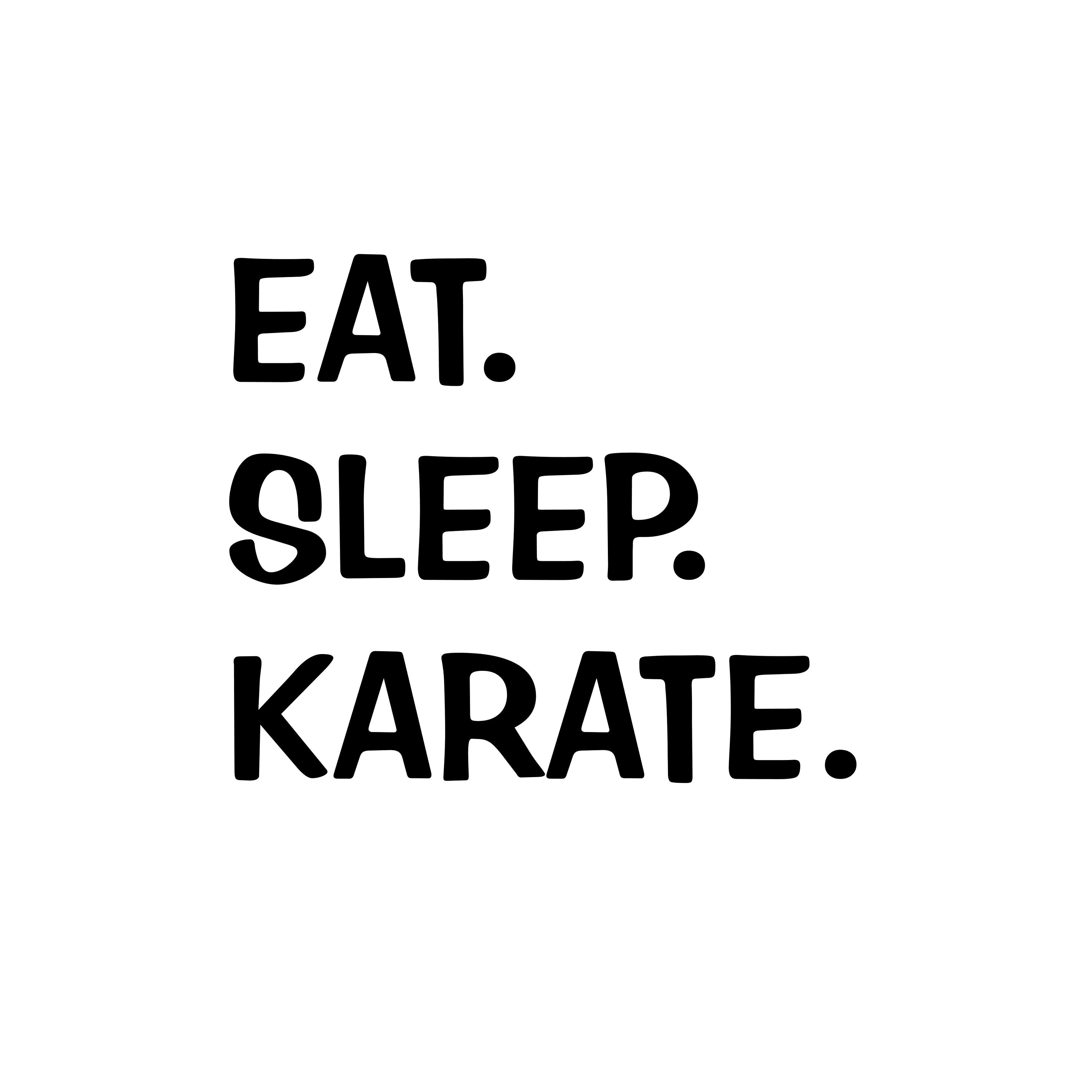 Eat Sleep Karate Vinyl Decal Sticker Laptop Window Car Truck Choose Size and Color Free Shipping