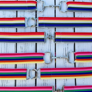Gürtel • 3,5 cm • Trensengebiss, Kreis- oder Surcingle-Verschlüsse • Gestreifte Kollektion