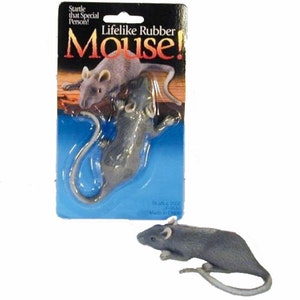 May include: A gray rubber mouse toy in a plastic package. The package has the text "Lifelike Rubber Mouse!" on it. The mouse is designed to startle someone.