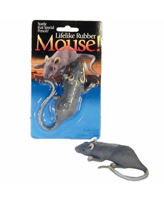 Mouse in the top house cat toy