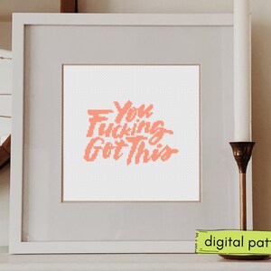 You F*cking Got This Cross Stitch Pattern