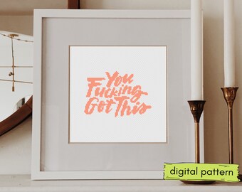 You F*cking Got This Cross Stitch Pattern