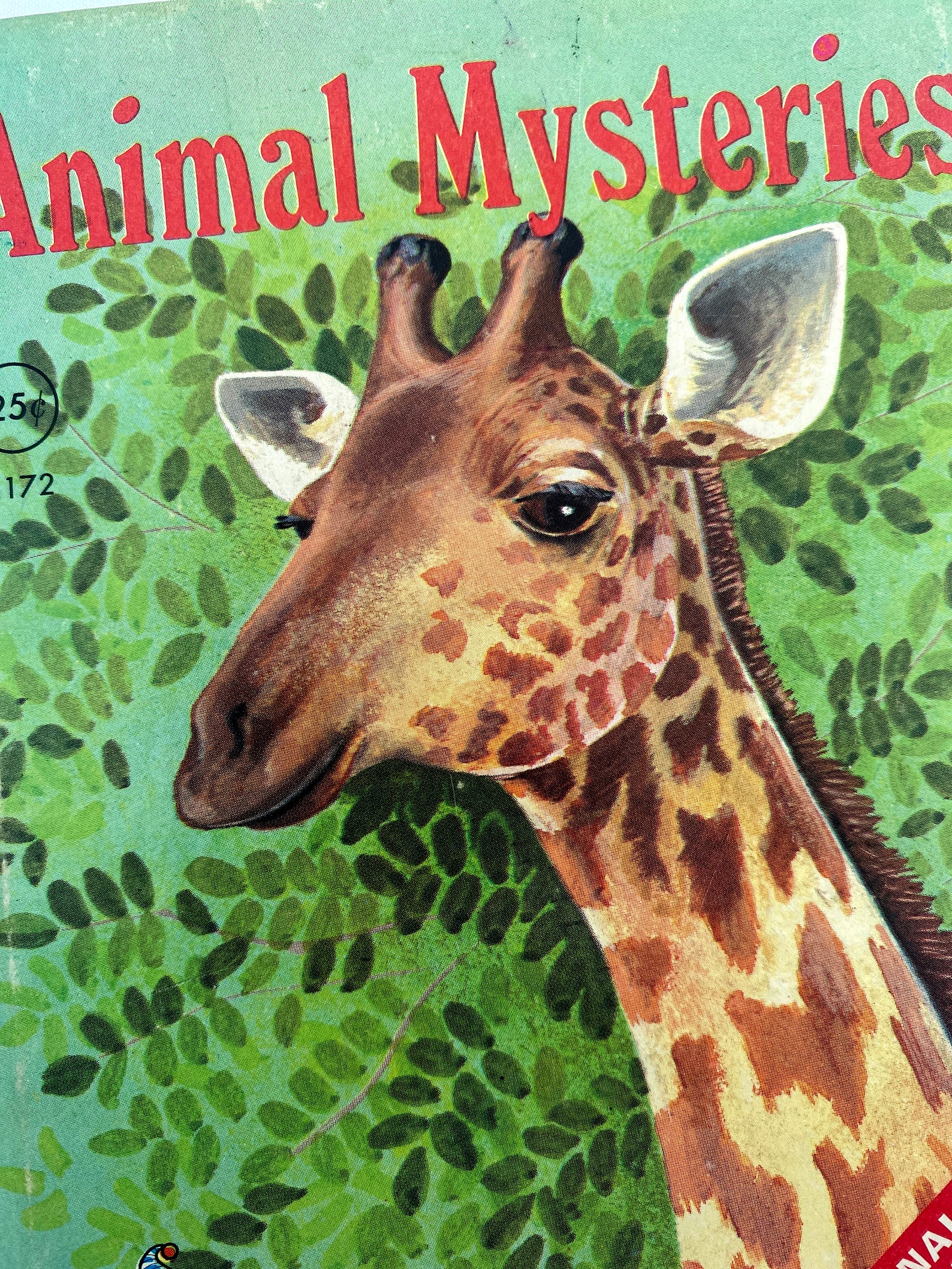 Vintage Children's Book Animal Mysteries Rand Mcnally Etsy