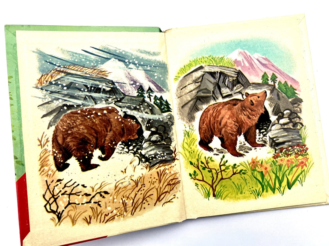 Vintage Children's Book Animal Mysteries Rand Mcnally Etsy