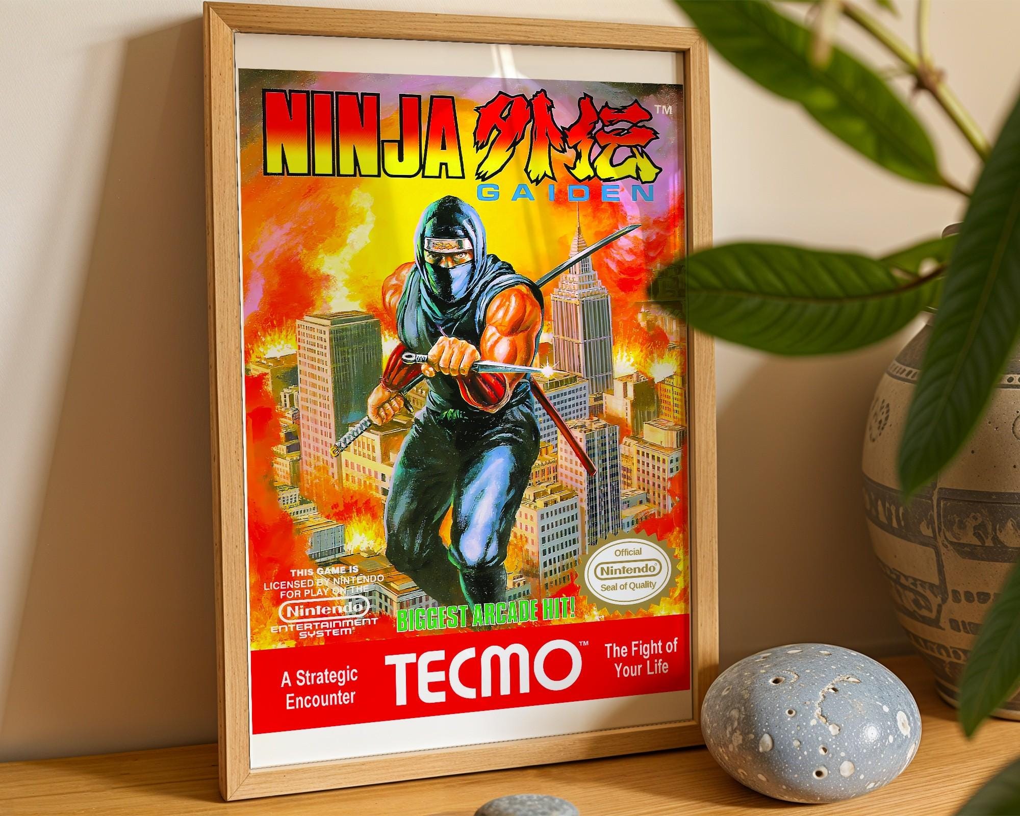 Ninja Gaiden Poster - Etsy