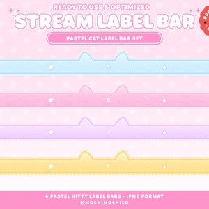 Pastellfärgad kattetikettfält för Twitch, anpassad stream-överlägg, söt estetik, stream-inställningar, Vtuber Just Chatting-scen, kattunge, kawaii