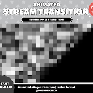 Black Pixel Stinger Transition for Twitch | Monochromatic Animated Scene Transition | 8bit | Custom Animated | Stream Setup | Cool Aesthetic