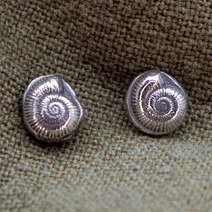 Recycled Silver Ammonite Stud Earrings Sterling Silver image 1