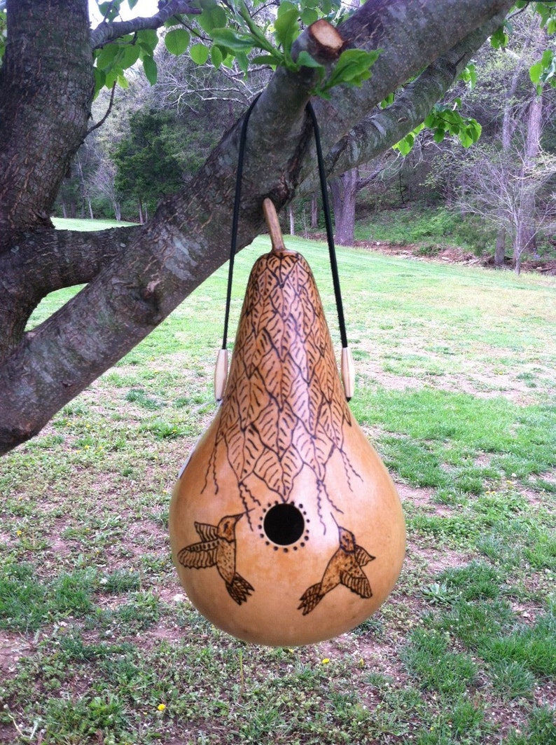 WREN GOURD BIRDHOUSE 404 Woodburned hummingbird design Etsy