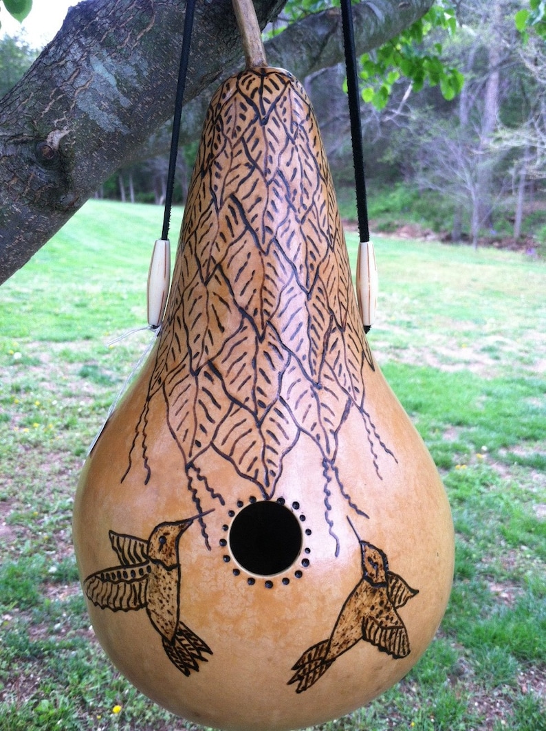 WREN GOURD BIRDHOUSE 404 Woodburned hummingbird design Etsy