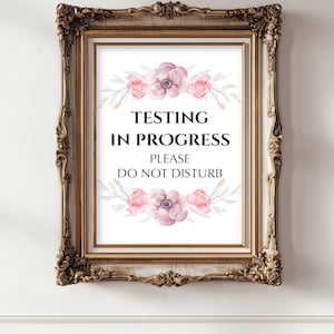 Segnale di test in corso: cartello floreale con scritto "Silenzio sulla porta" (JPG, PDF, download digitale)