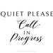 Quiet Please Call in Progress Printable Home Office or School Door Sign