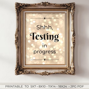 Cartello stampabile per classi silenziose "Shhh, test in corso", regalo di ringraziamento per gli insegnanti, esame "non disturbare" jpg pdf 8x10 11x14 14x18