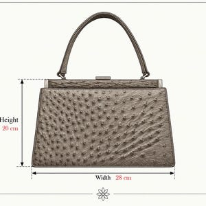 May include: A metallic bronze handbag with a textured quill pattern, a single top handle, and a rectangular metal clasp. The bag measures 20 cm in height and 28 cm in width, as indicated by the measurement lines and text labels on the image.