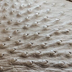 May include: A light brown ostrich leather hide featuring a distinct pattern of raised quill follicles across the surface. The texture is characterized by a series of small, rounded bumps arranged in rows, creating a tactile and organic appearance.